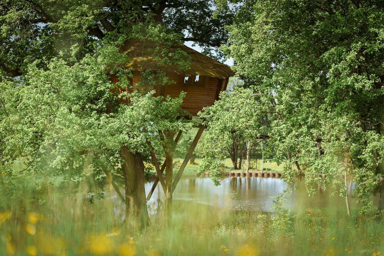 Cabane Perchée dans les Arbres Saint-Hilaire-en-Morvan Exterior foto