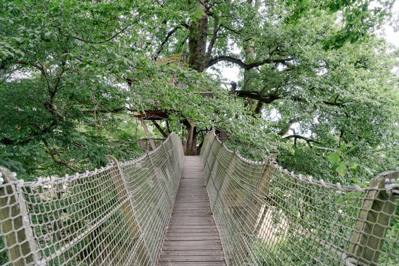 Cabane Perchée dans les Arbres Saint-Hilaire-en-Morvan Exterior foto