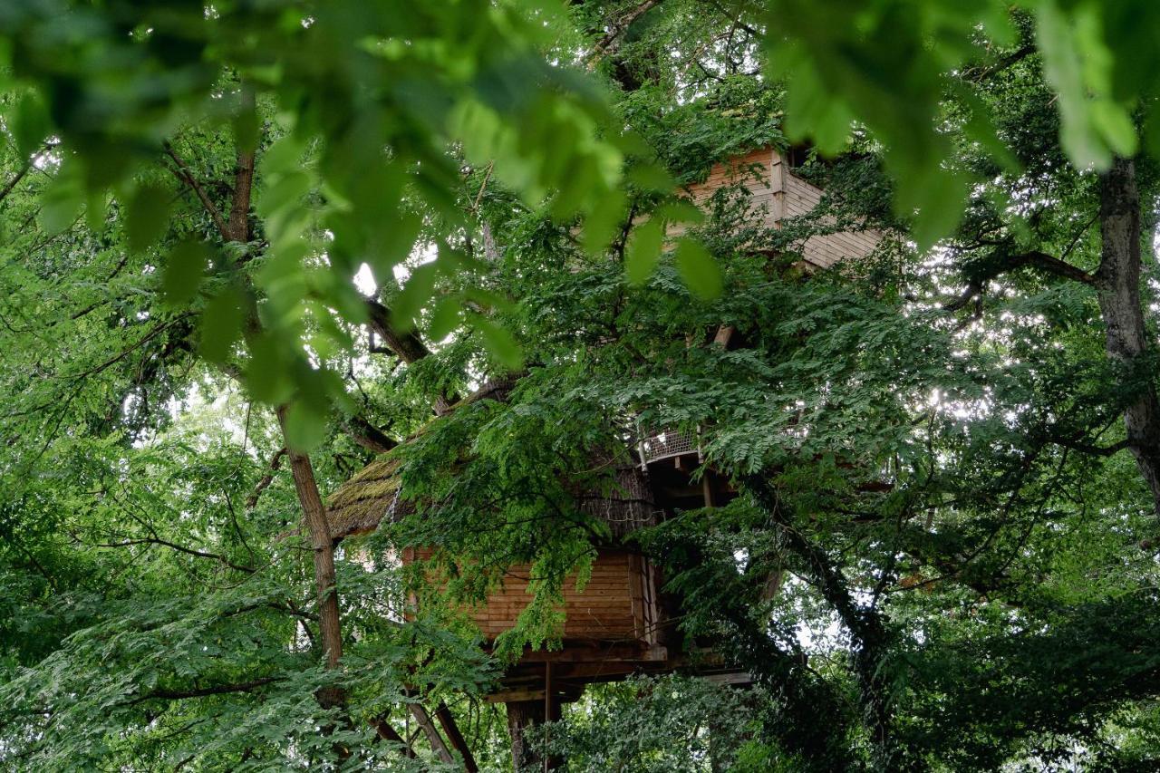 Cabane Perchée dans les Arbres Saint-Hilaire-en-Morvan Exterior foto